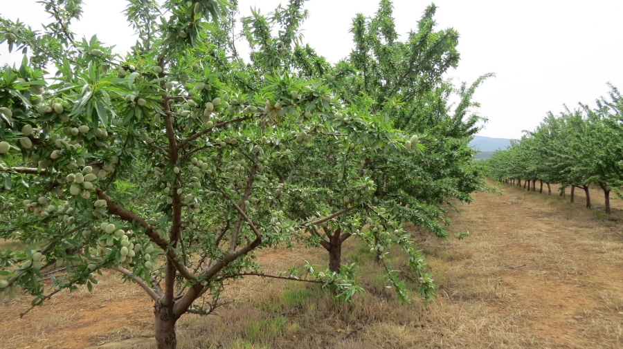 Commercial Property for Sale in Montagu Rural Western Cape